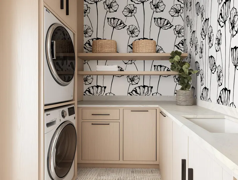 Bold Contemporary Laundry